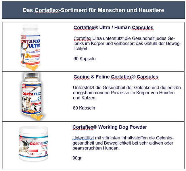 Sortiment Hund Mensch.png