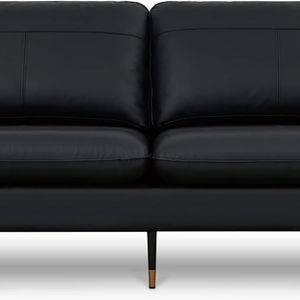 Modern Leather 2-Seat Couch