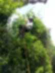 SKYFELL LTD