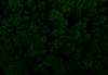 Group 232.png