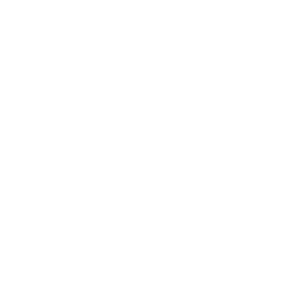 MORE-Icon-Tender-Boat-white.png