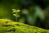 AdobeStock_168553653.jpeg