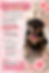 Perro