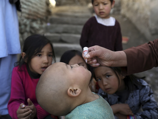 Taliban Suspends Polio Vaccination Campaigns in Afghanistan