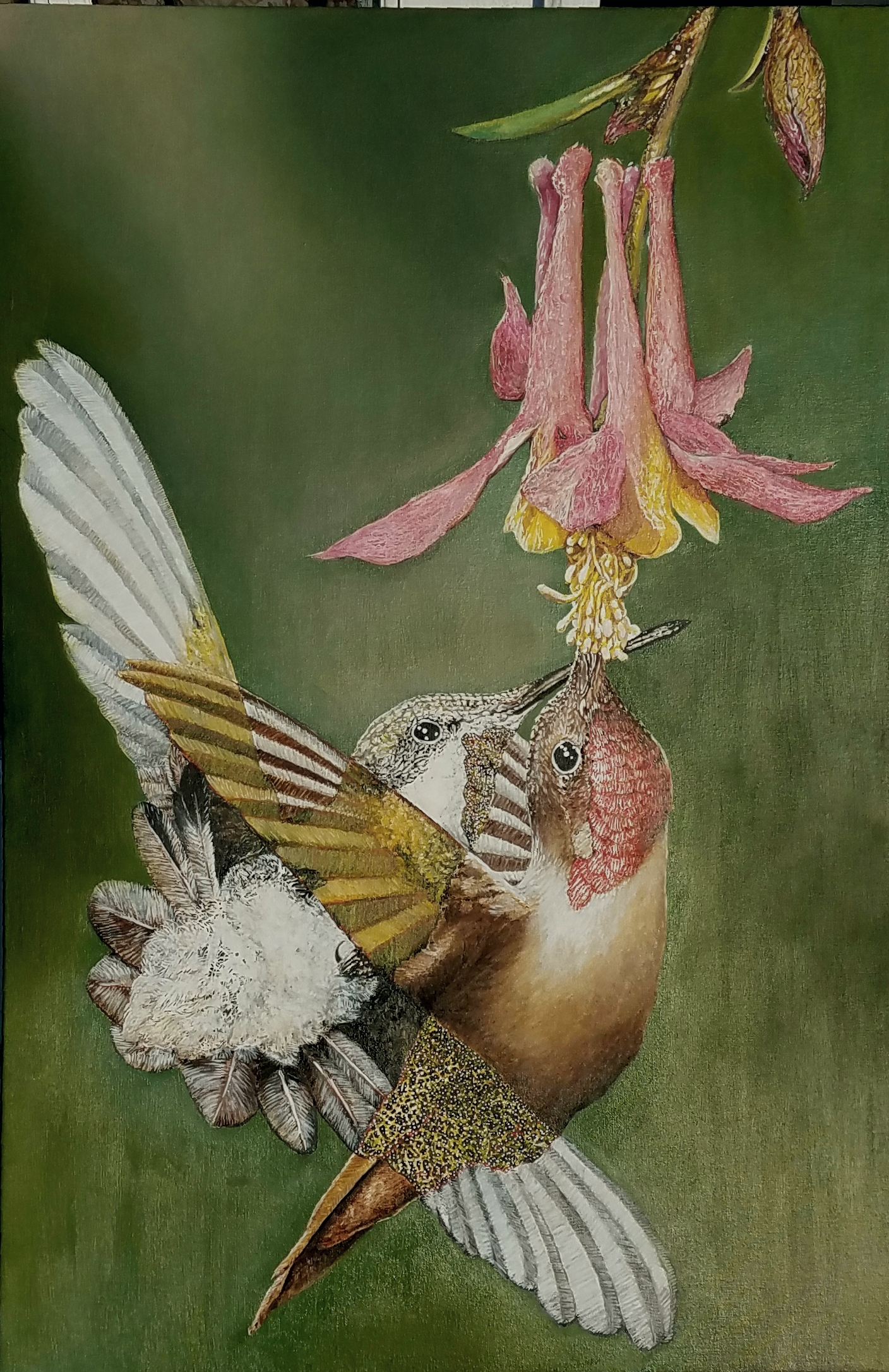 Birds