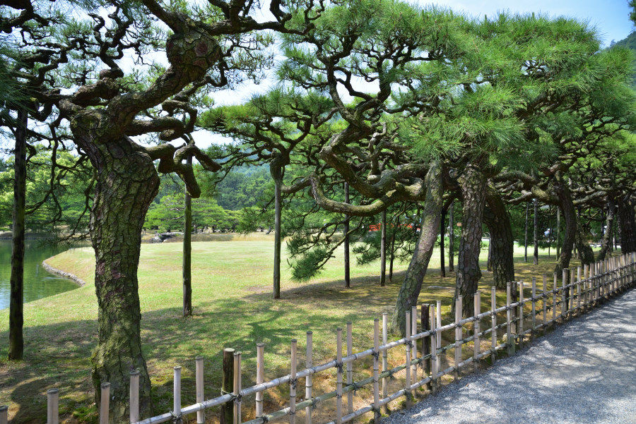 栗林公園にて