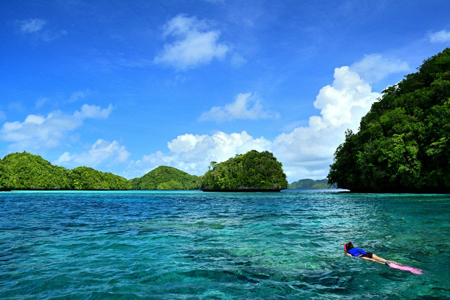 パラオの海でシュノーケリング006.11.29DSC_9924_01