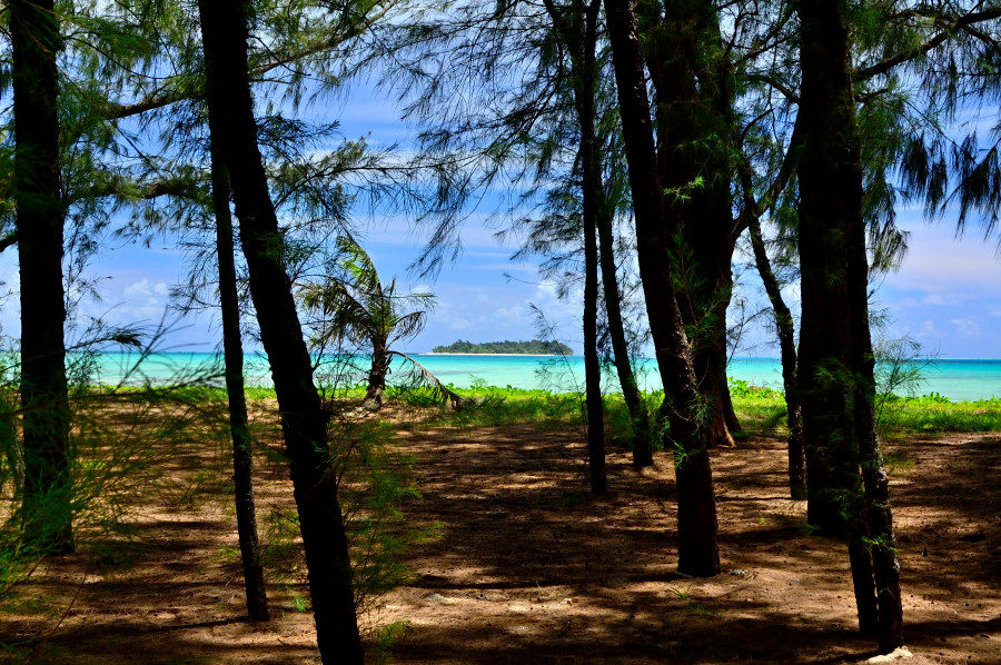 マイクロビーチ