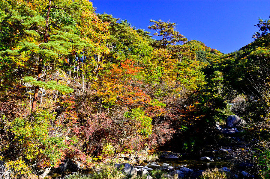 秋の御岳昇仙峡