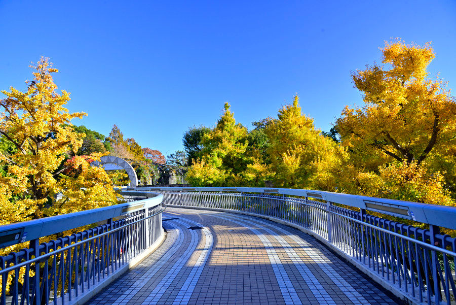 山下公園付近にて