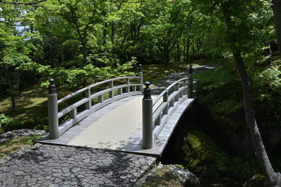 苔庭にて