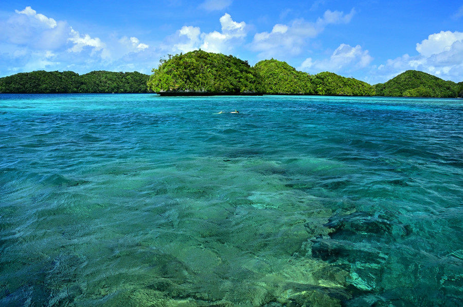パラオの海でシュノーケリング