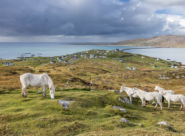Eilean nan Each