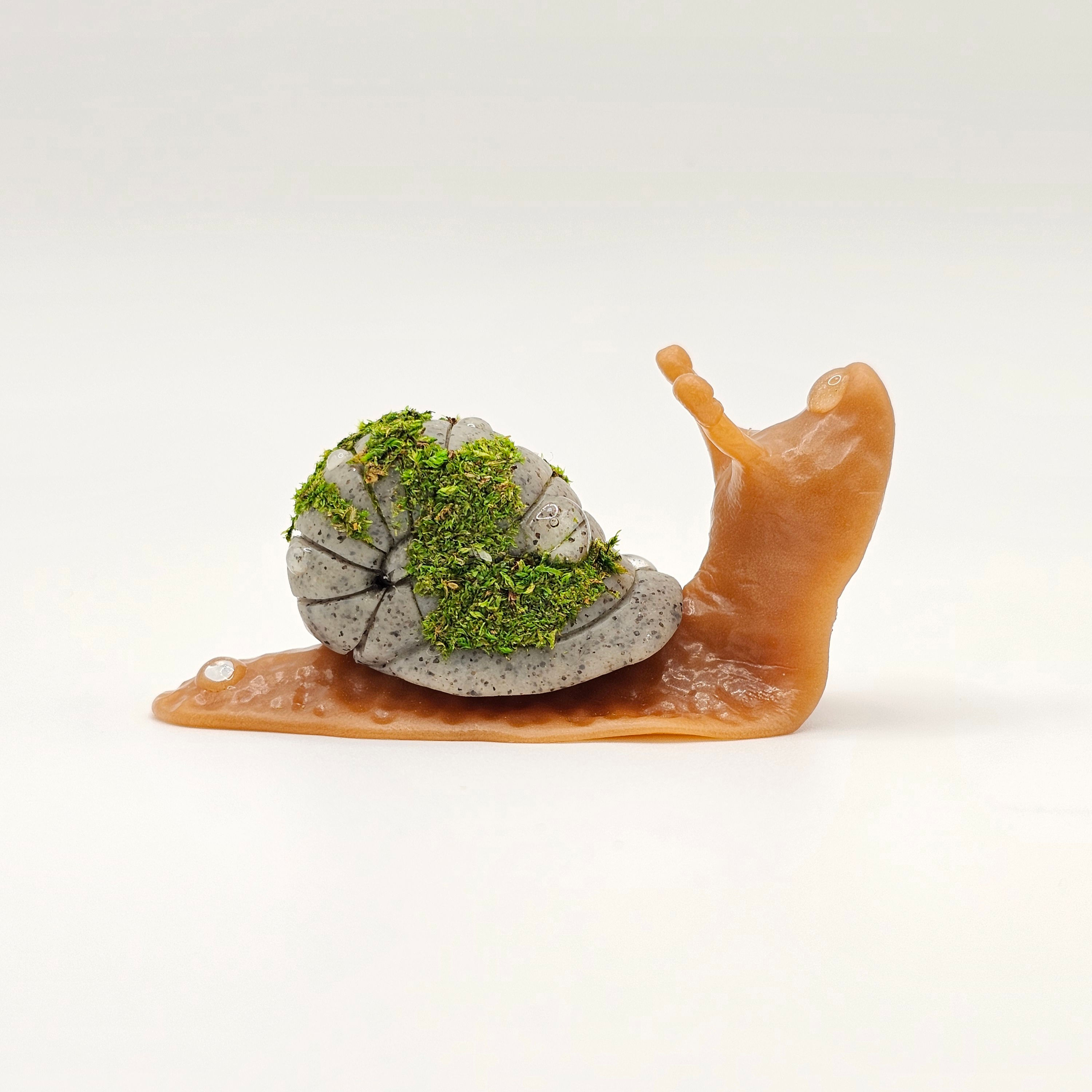 Mossylight Snail -- #6 of 15