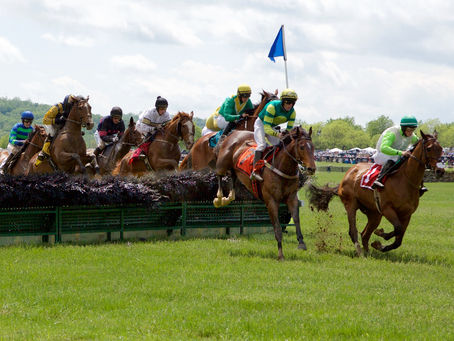 Steeplechase