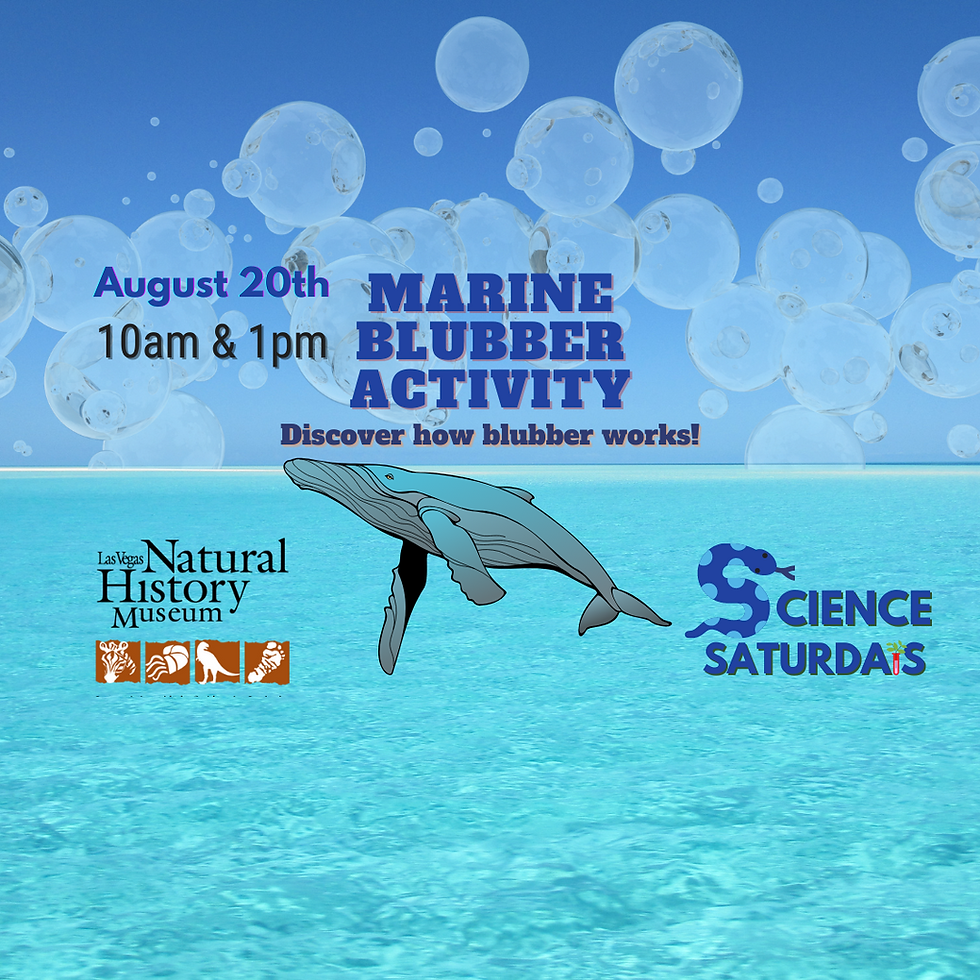 Science Saturday Blubber Investigations