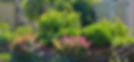 veuegarden.jpeg