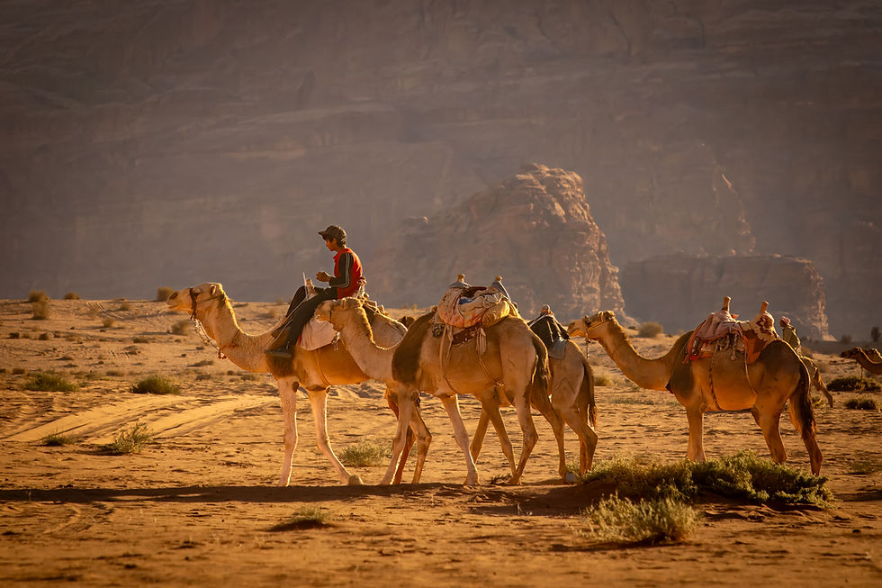 JORDANIA_wybrane _DO STRONY_DSC0356520141113-2.jpg