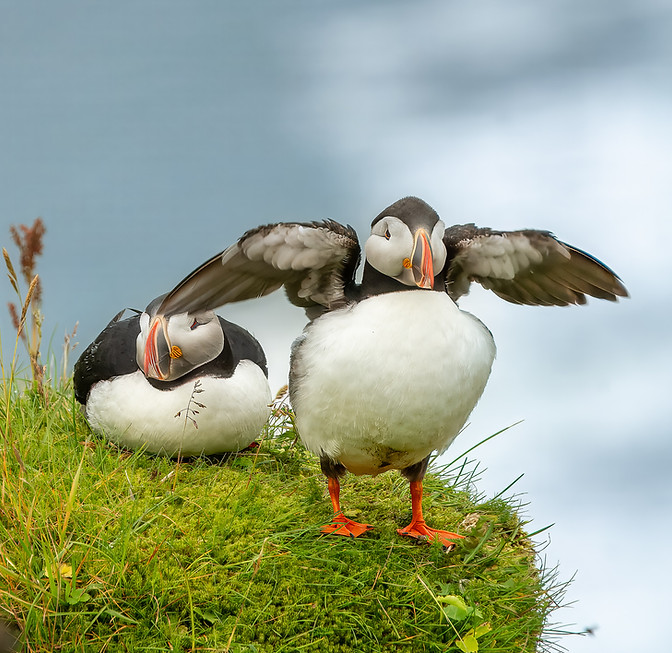 ISLANDIA NA STRONĘ_DSC0520420140723.jpg
