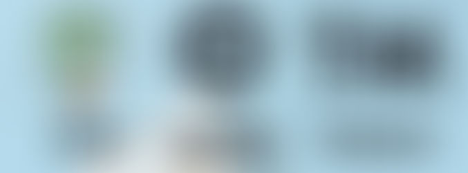 Beyond Patents & Trademarks: The Diverse Landscape of Intellectual Property Protection