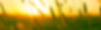 20220315-Sommer.jpg