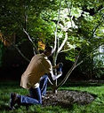 Lighting INstallation.jpg
