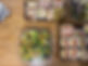 Drop and Go Disposable Catering Danville