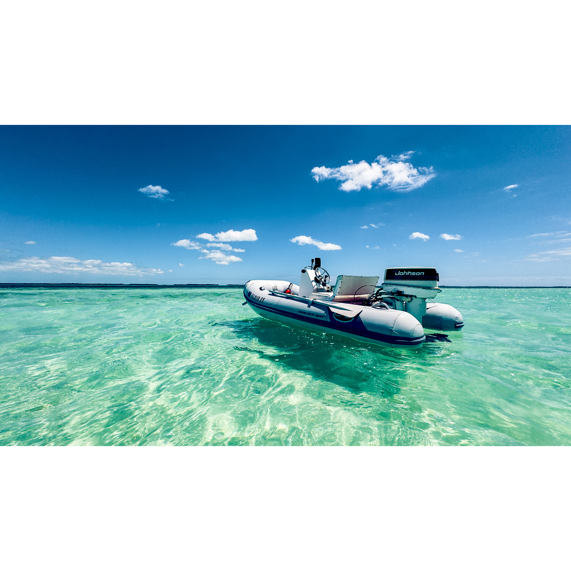 Woman with artichoke.jpg