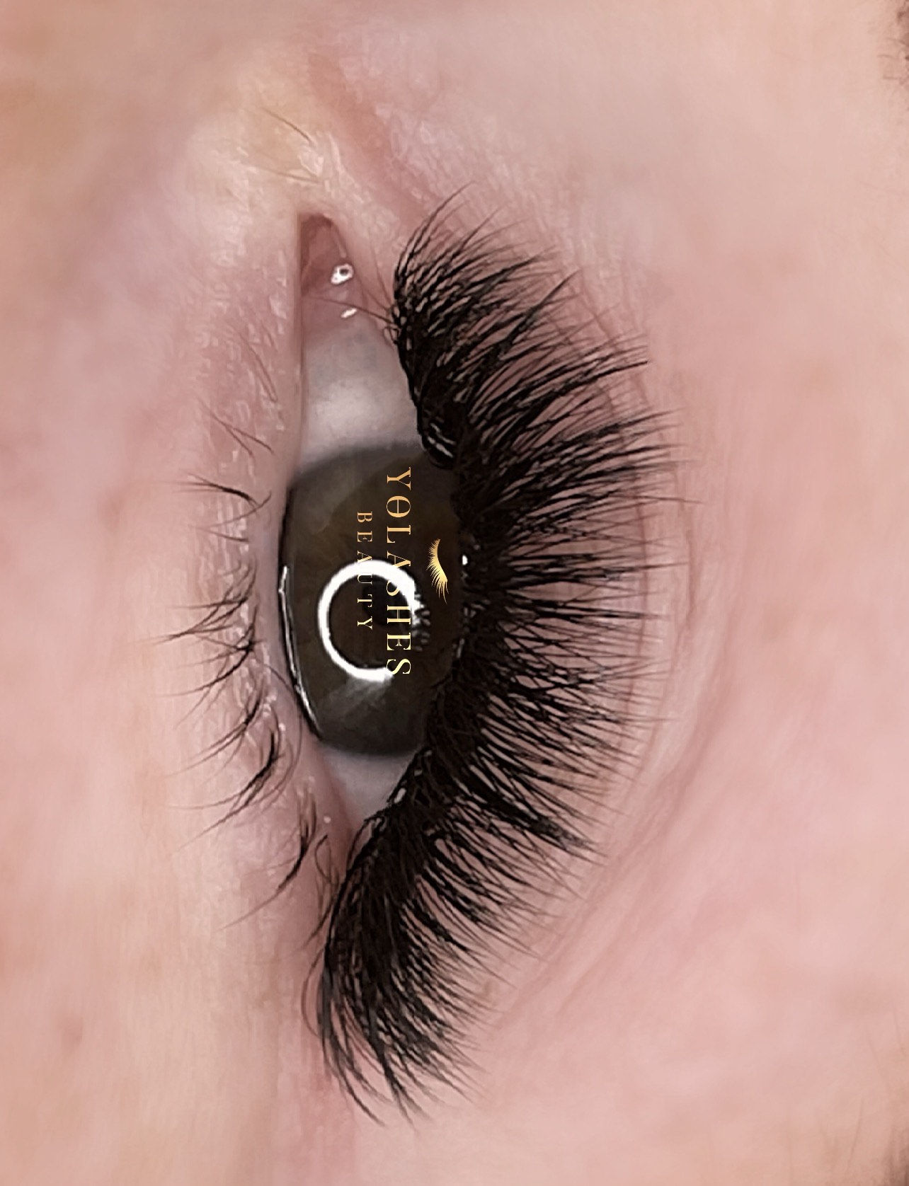 image_6483441 (10).JPG