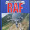 Thumbnail: History of the RAF by Chaz Bowyer. 1988