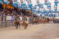 Festa em louvor ao Divino Pai eterno