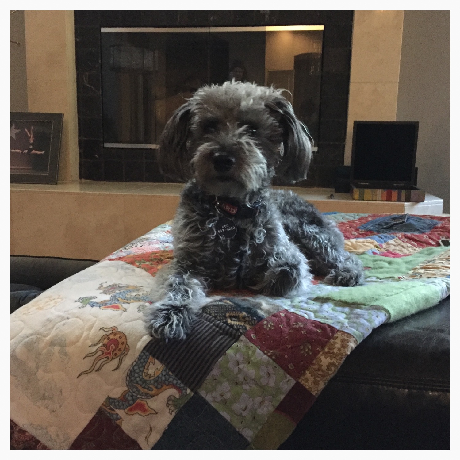 marvin loves quilts