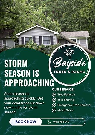 Storm Seasonv.jpg