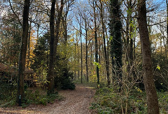 Omgeving Norg, Drenthe