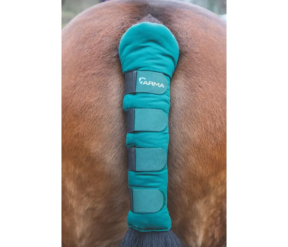 Shires Arma Padded Tail Guard