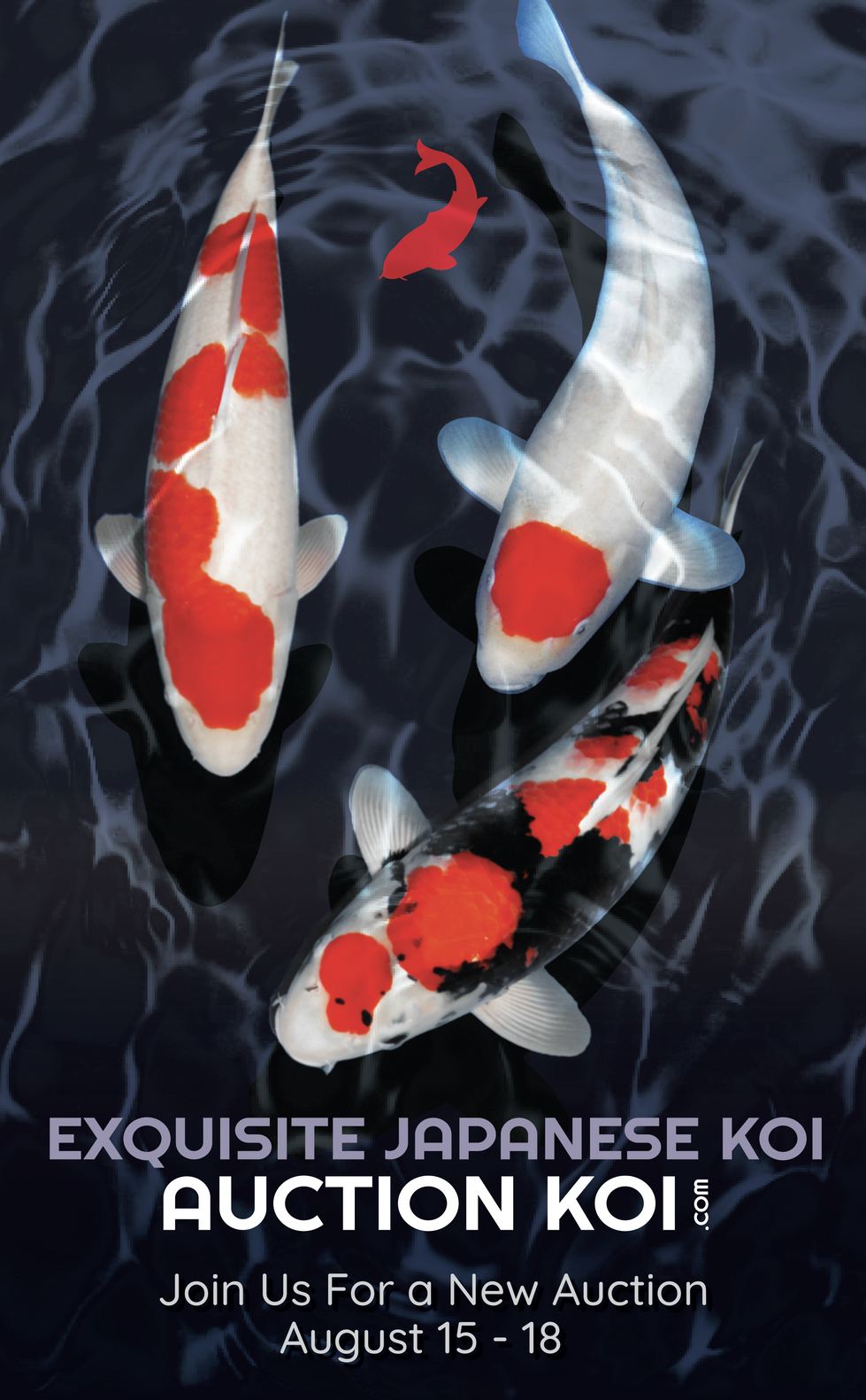 AuctionKoi-02.png