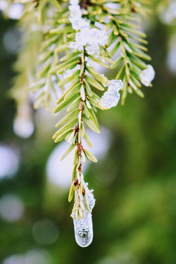 20220103124227_IMG_3220~2