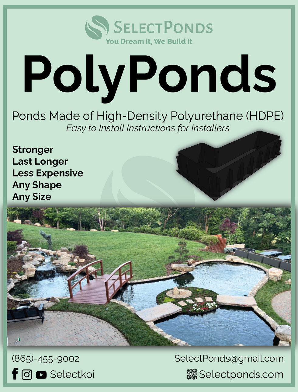 PolyPond Full page Ad v3-01.png