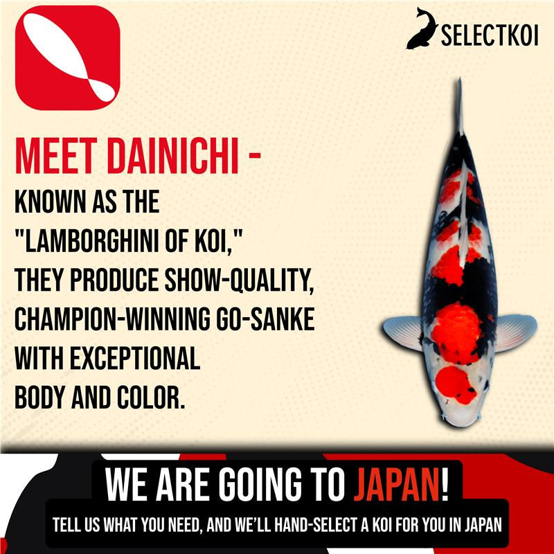Going to Japan-03 1.png