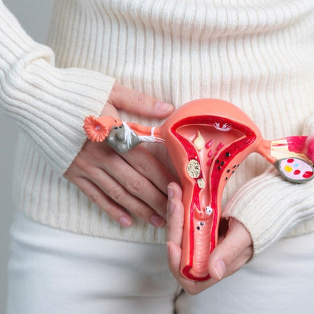 Crijevni mikrobiom i endometrioza
