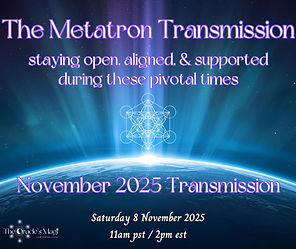 november transmissions.jpg