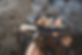 AdobeStock_460101202_Preview.jpeg