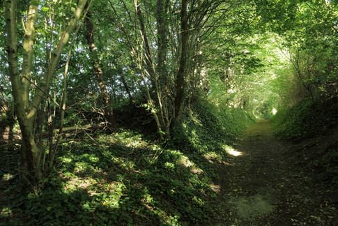 Saint-Jean-Pierre-Fixte (32).JPG