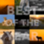 BEST IMAGES of The year