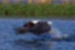 BOTSWANA Image Gallery
