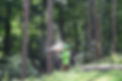 Jake and tree spray.jpg