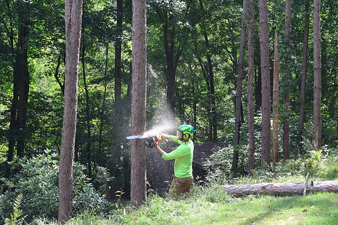 Jake and tree spray.jpg
