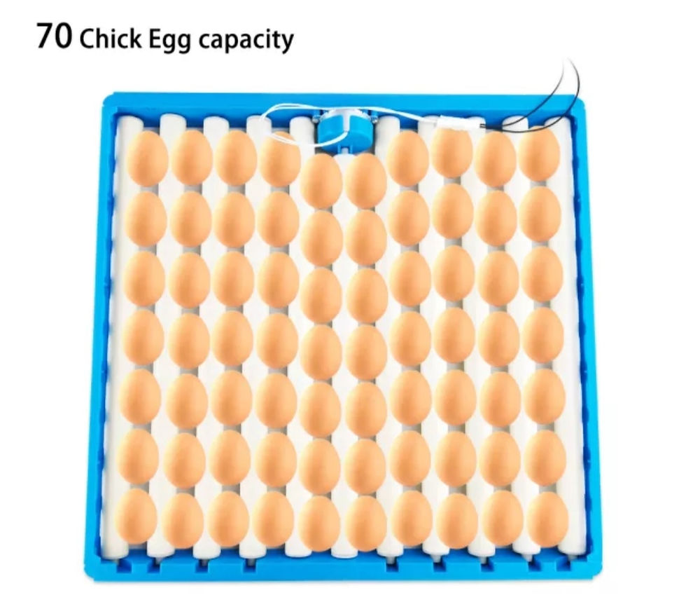 Thumbnail: Newest 70 Chicken / Duck Eggs Capacity Multifunction Rolling Tray AC230V