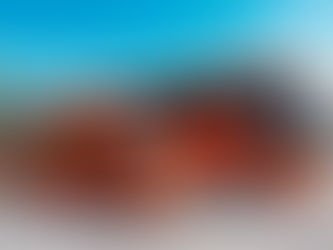 Choosing a Reputable Excursion and Airport Transfer Company is Essential for Your Trip