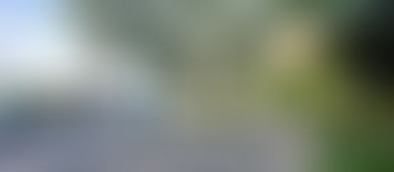 🌸 Spring in Minnesota: Things to Do After Winter Ends